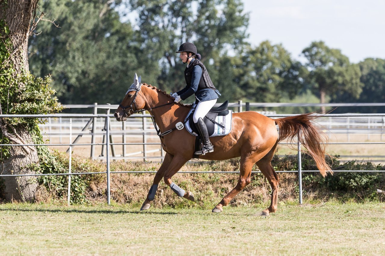 Bild 32 - Pony Akademie Turnier